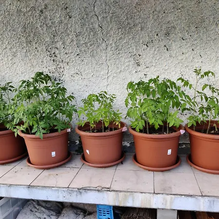 Apartament Mini Happy Reconvilier